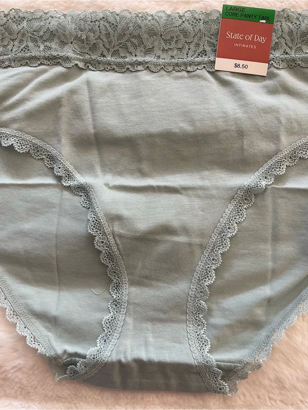 State of Day Intimates Women Lace Waist Panty Gray Mist Large Underwear NWT